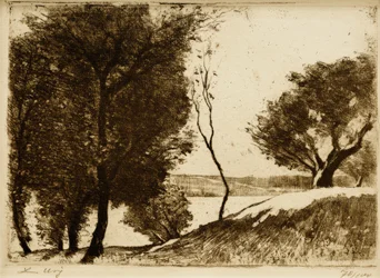 Ribera arbolada en el lago de Brandeburgo
